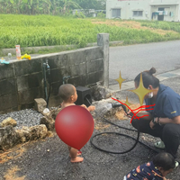 画像262